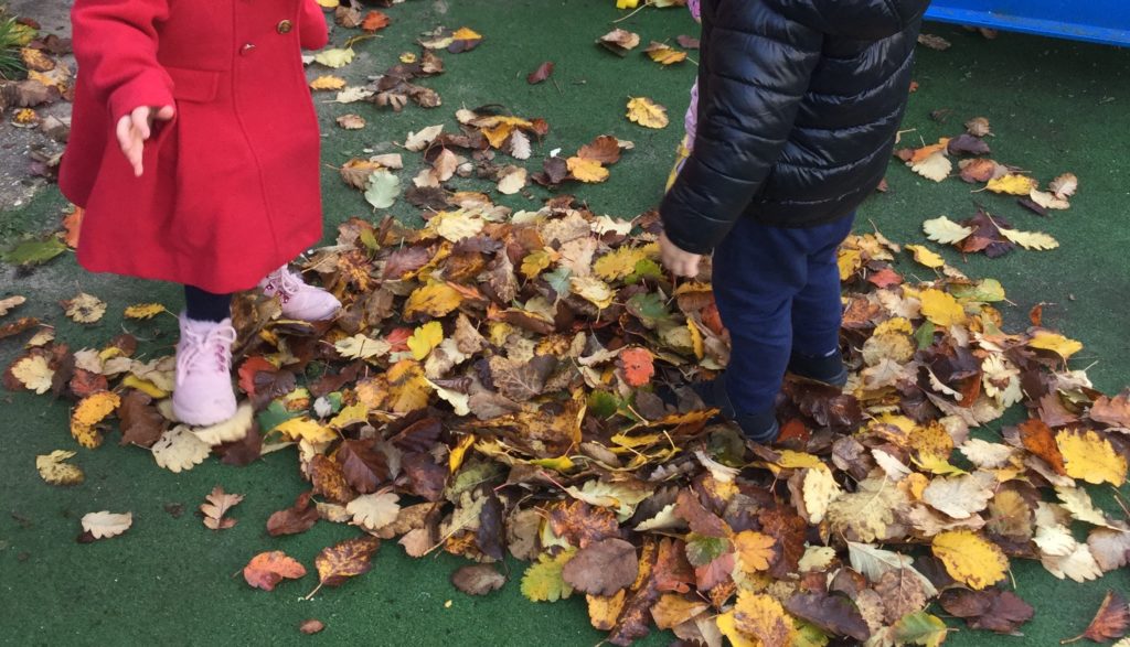 Children playing in the leaves